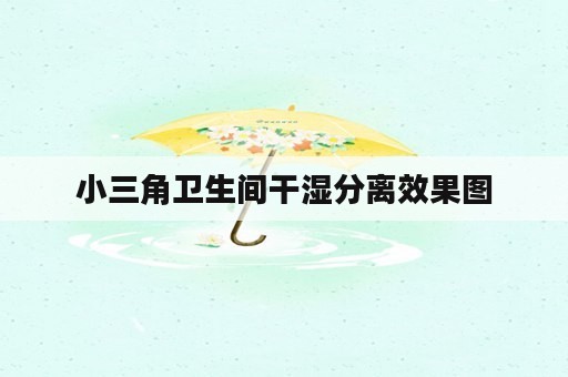 小三角卫生间干湿分离效果图