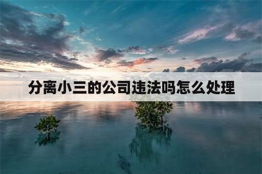 分离小三的公司违法吗怎么处理