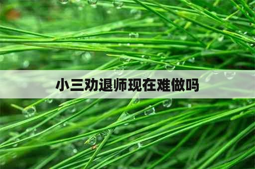 小三劝退师现在难做吗