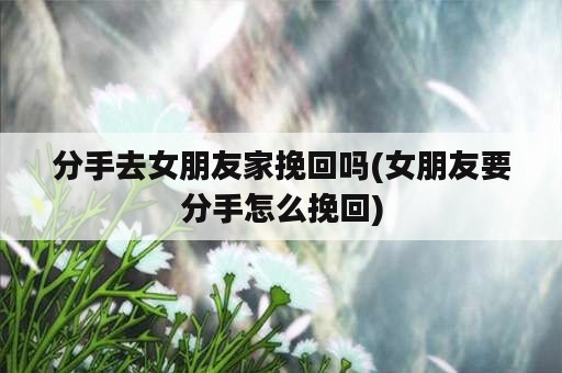 分手去女朋友家挽回吗(女朋友要分手怎么挽回)