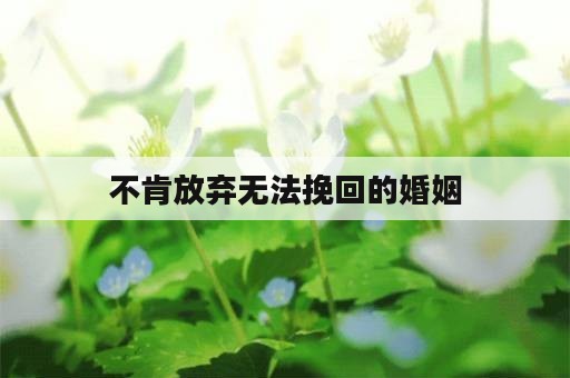 不肯放弃无法挽回的婚姻