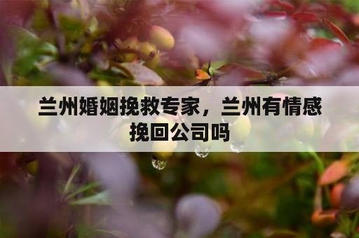 兰州婚姻挽救专家，兰州有情感挽回公司吗