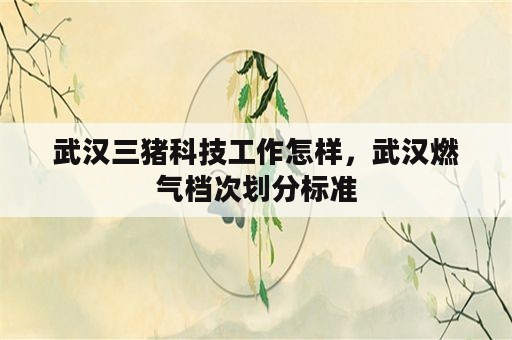 武汉三猪科技工作怎样，武汉燃气档次划分标准