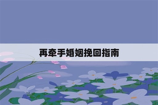 再牵手婚姻挽回指南