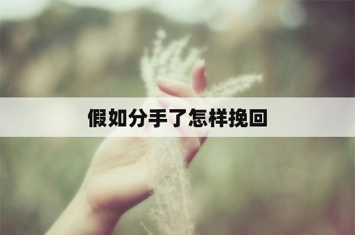 假如分手了怎样挽回