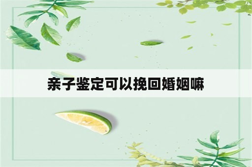 亲子鉴定可以挽回婚姻嘛