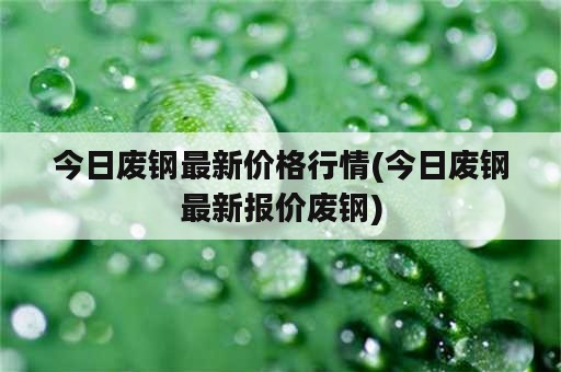 今日废钢最新价格行情(今日废钢最新报价废钢)