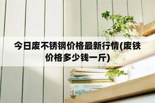 今日废不锈钢价格最新行情(废铁价格多少钱一斤)