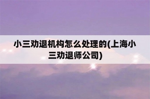 小三劝退机构怎么处理的(上海小三劝退师公司)