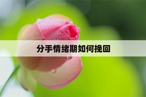 分手情绪期如何挽回