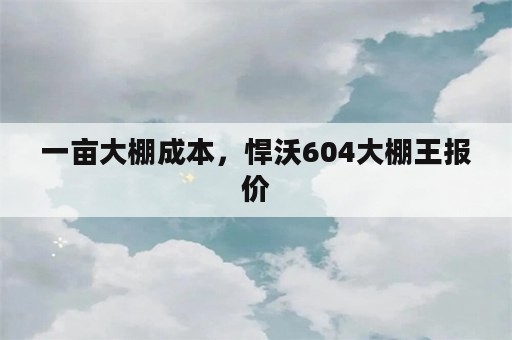 一亩大棚成本，悍沃604大棚王报价