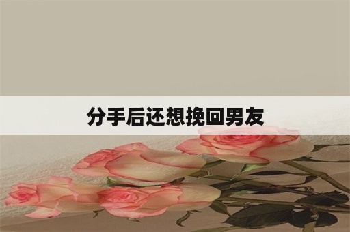 分手后还想挽回男友