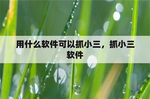 用什么软件可以抓小三，抓小三软件