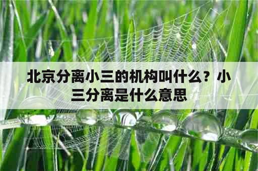 北京分离小三的机构叫什么？小三分离是什么意思