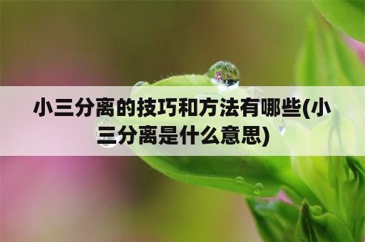 小三分离的技巧和方法有哪些(小三分离是什么意思)