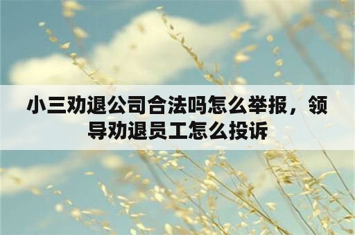 小三劝退公司合法吗怎么举报，领导劝退员工怎么投诉