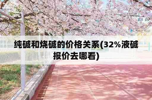 纯碱和烧碱的价格关系(32%液碱报价去哪看)