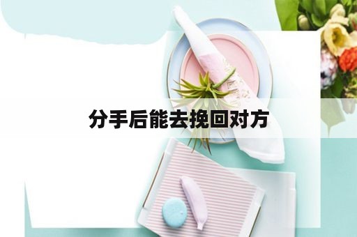 分手后能去挽回对方