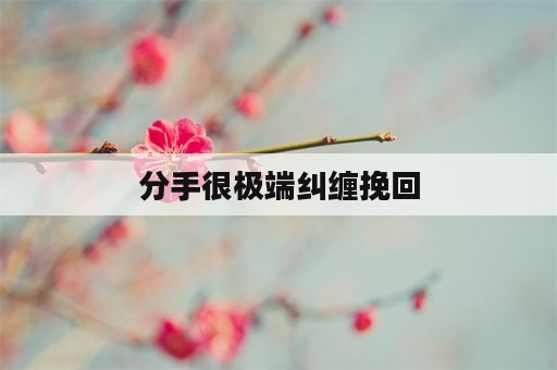 分手很极端纠缠挽回