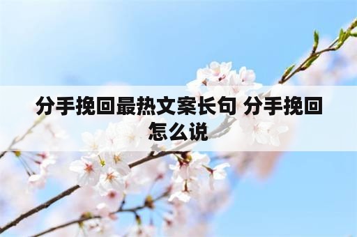 分手挽回最热文案长句 分手挽回怎么说