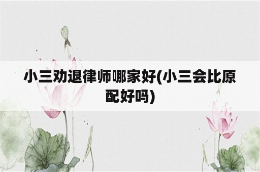 小三劝退律师哪家好(小三会比原配好吗)