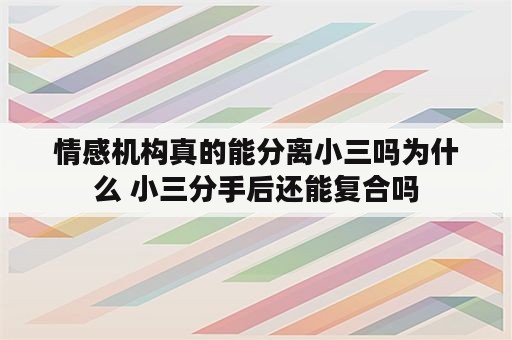 情感机构真的能分离小三吗为什么 小三分手后还能复合吗