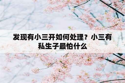 发现有小三开如何处理？小三有私生子最怕什么