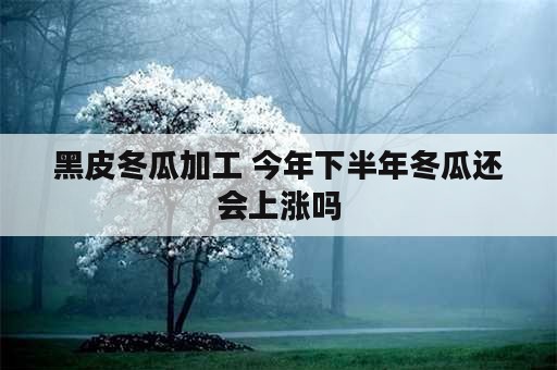 黑皮冬瓜加工 今年下半年冬瓜还会上涨吗