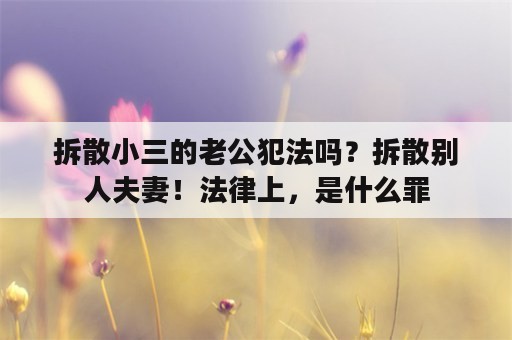 拆散小三的老公犯法吗？拆散别人夫妻！法律上，是什么罪