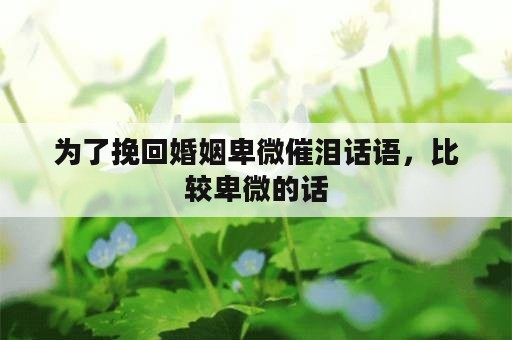 为了挽回婚姻卑微催泪话语，比较卑微的话