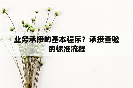 业务承接的基本程序？承接查验的标准流程