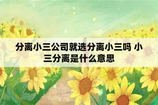 分离小三公司就选分离小三吗 小三分离是什么意思