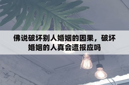 佛说破坏别人婚姻的因果，破坏婚姻的人真会遭报应吗