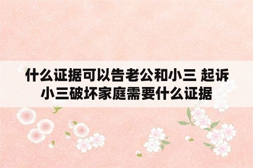 什么证据可以告老公和小三 起诉小三破坏家庭需要什么证据