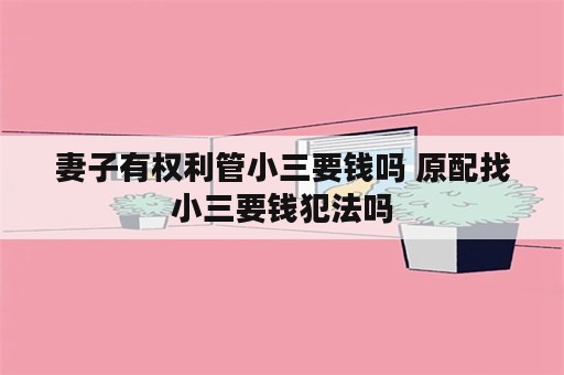 妻子有权利管小三要钱吗 原配找小三要钱犯法吗