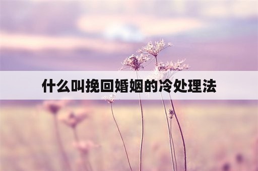 什么叫挽回婚姻的冷处理法