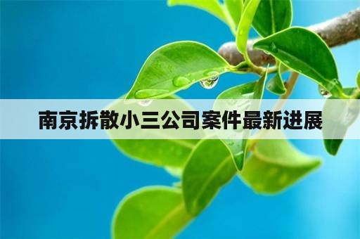 南京拆散小三公司案件最新进展