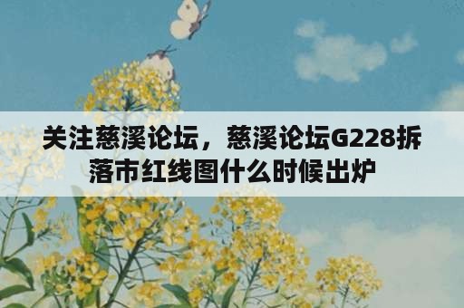 关注慈溪论坛，慈溪论坛G228拆落市红线图什么时候出炉