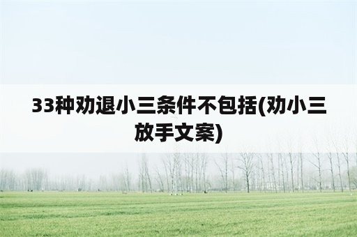 33种劝退小三条件不包括(劝小三放手文案)