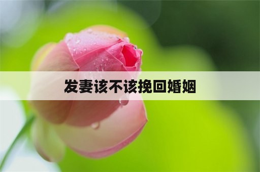 发妻该不该挽回婚姻