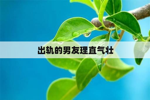 出轨的男友理直气壮