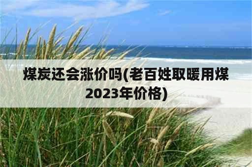 煤炭还会涨价吗(老百姓取暖用煤2023年价格)