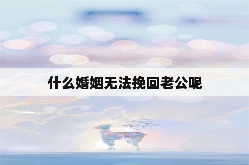 什么婚姻无法挽回老公呢