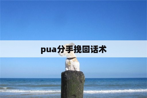 pua分手挽回话术