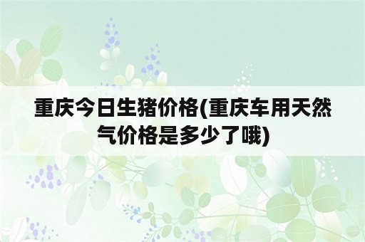 重庆今日生猪价格(重庆车用天然气价格是多少了哦)