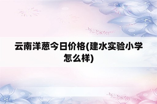 云南洋葱今日价格(建水实验小学怎么样)