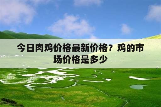 今日肉鸡价格最新价格？鸡的市场价格是多少