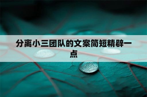 分离小三团队的文案简短精辟一点