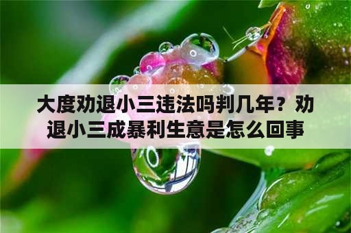 大度劝退小三违法吗判几年？劝退小三成暴利生意是怎么回事