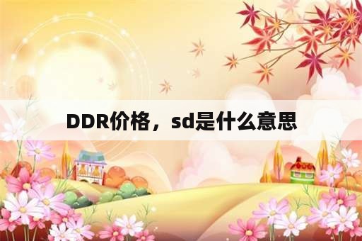 DDR价格，sd是什么意思